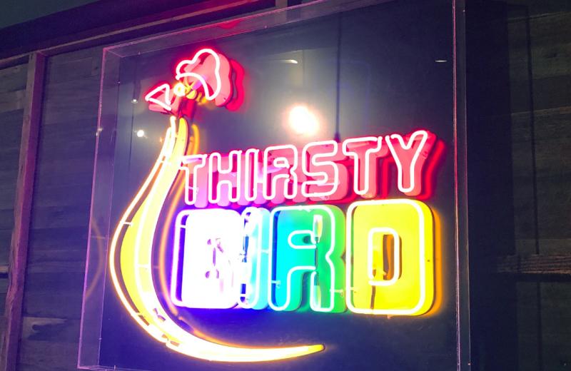 thirsty-bird-neon-up