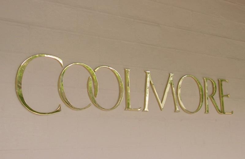 mirror-polished-brass-letters-installed